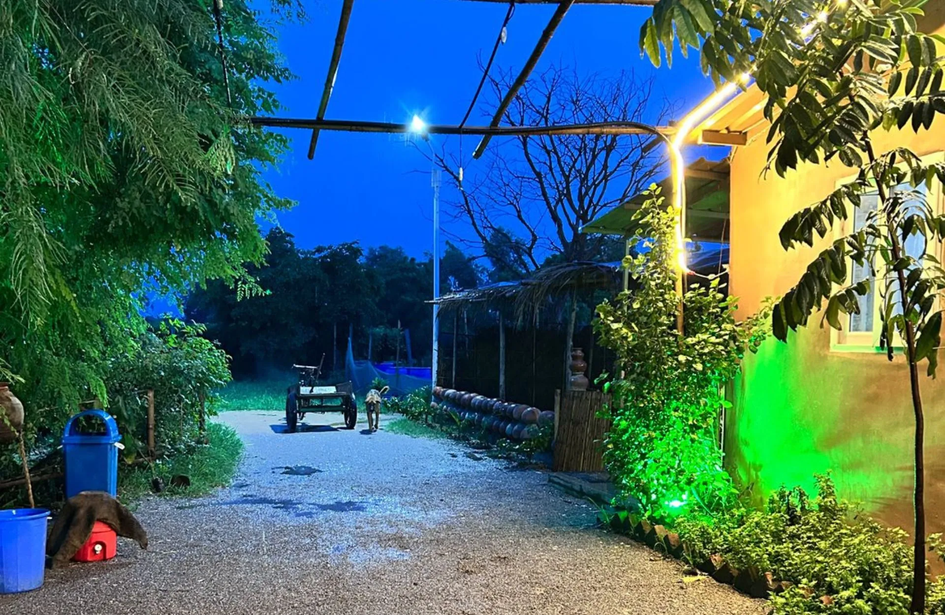 img2